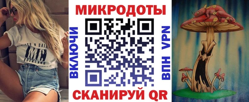 Псилоцибиновые грибы Psilocybe  Порхов 